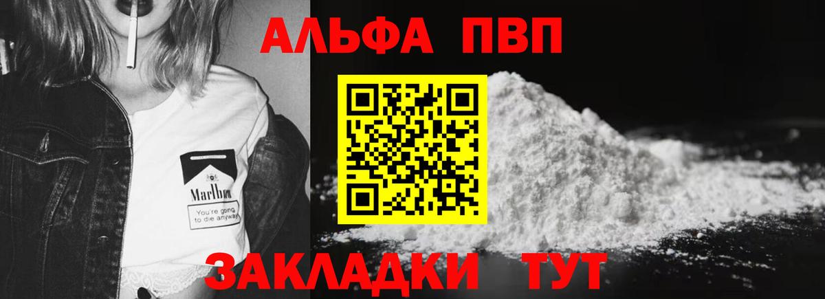 Alfa_PVP СК КРИС Ярославль