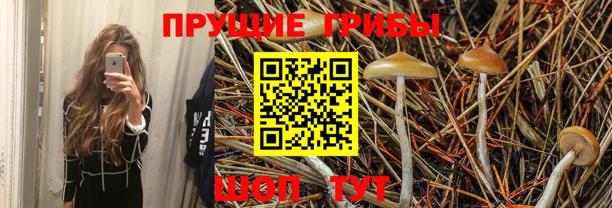 Галлюциногенные грибы MAGIC MUSHROOMS  Псилоцибиновые грибы Magic Shrooms  Вход с VPN  Ярославль 