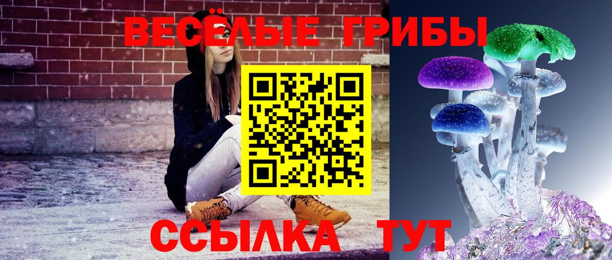 Галлюциногенные грибы мухоморы Ярославль